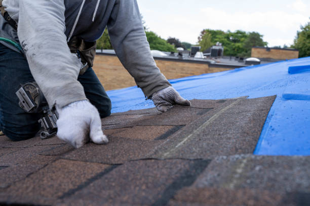 Best Roof Gutter Cleaning  in Winooski, VT